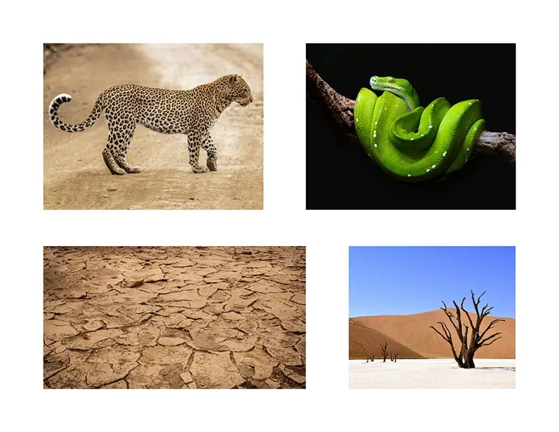 Photos utilisées pour le photomontage du mcro-worls changement climatique