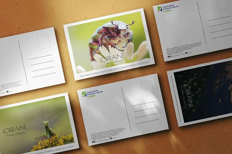 Les différentes cartes postales réalisées pour le CEN