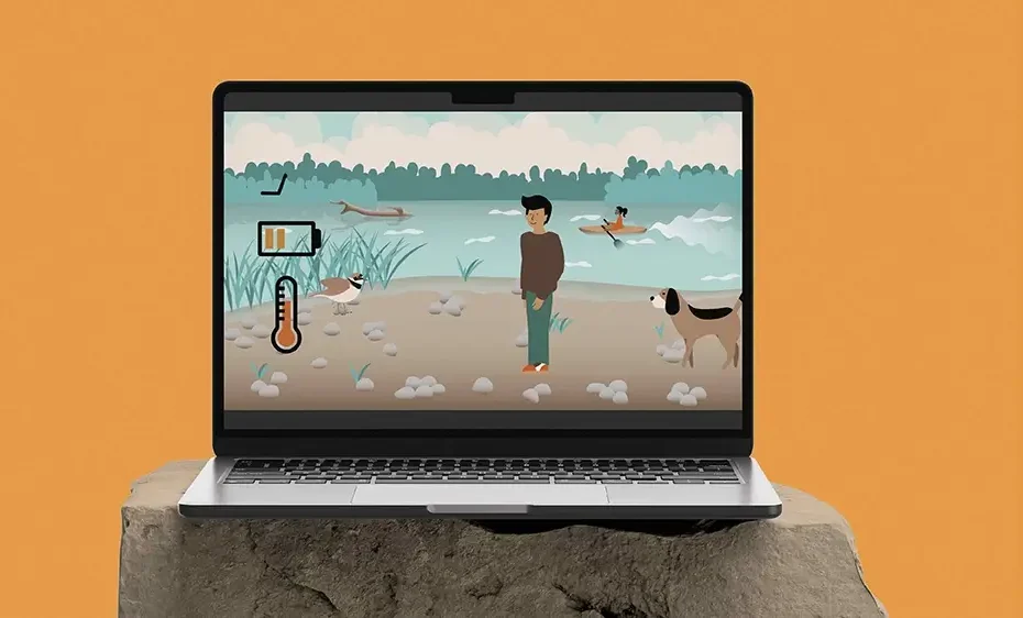 Image de la vidéo motion design de sensibilisation pour le Petit gravelot