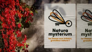 Poster avec logo Natura mysterium