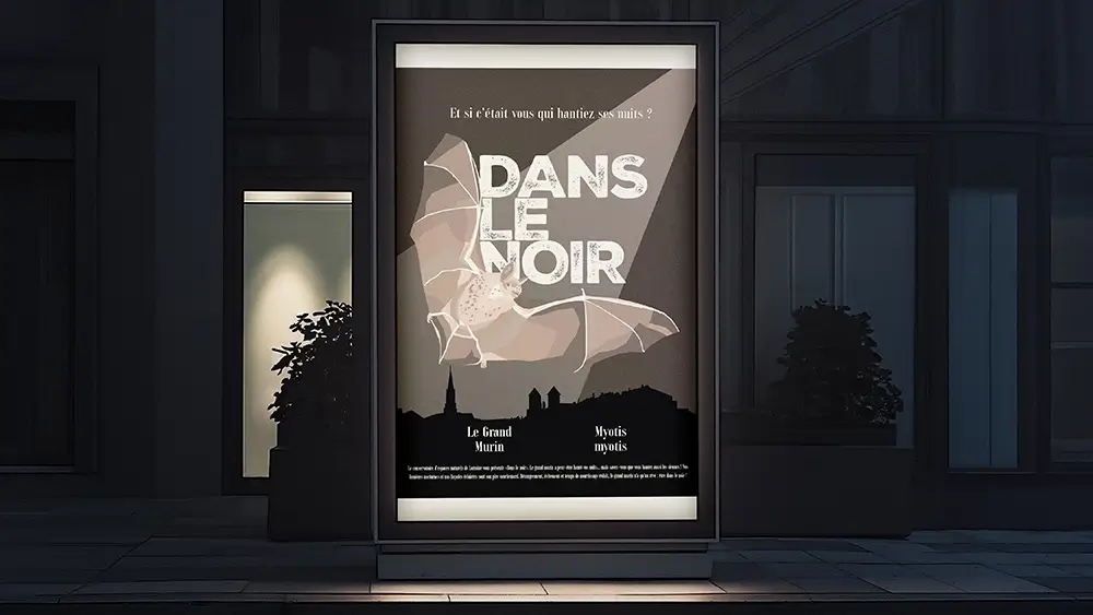 Poster type cinéma avec une chauves souris évoquant la pollution lumieuse