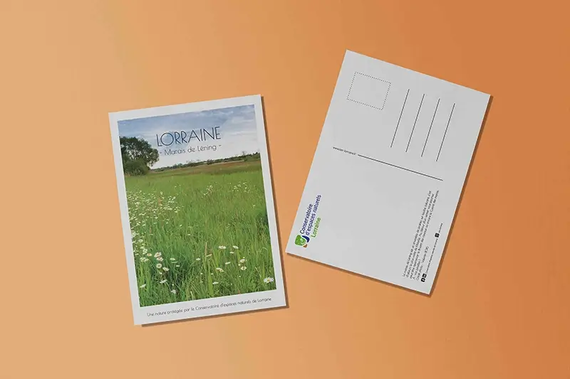 Cartes postales Léning