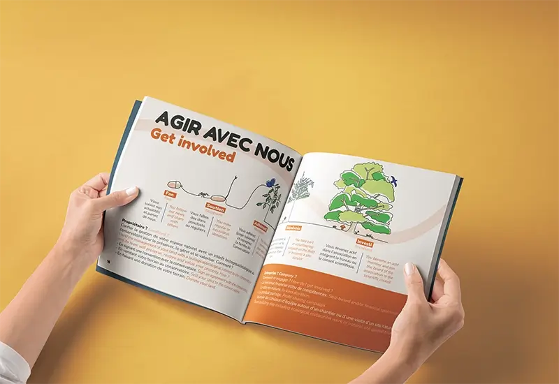 Arbre du bénévolat dans magazine