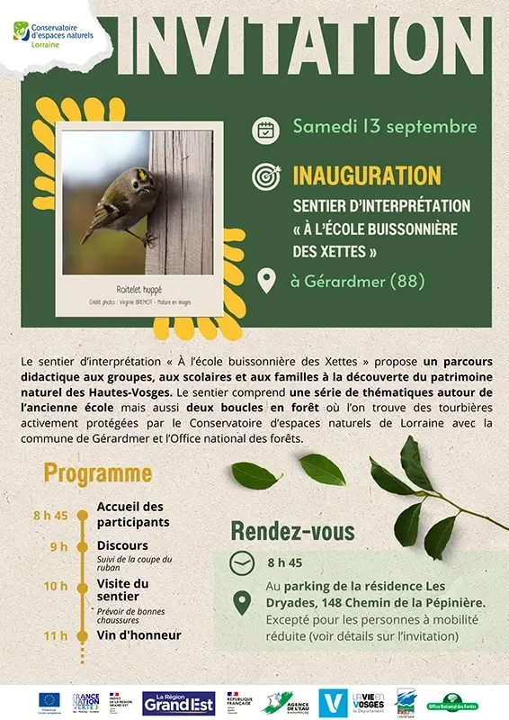 Corps de mail pour invitation