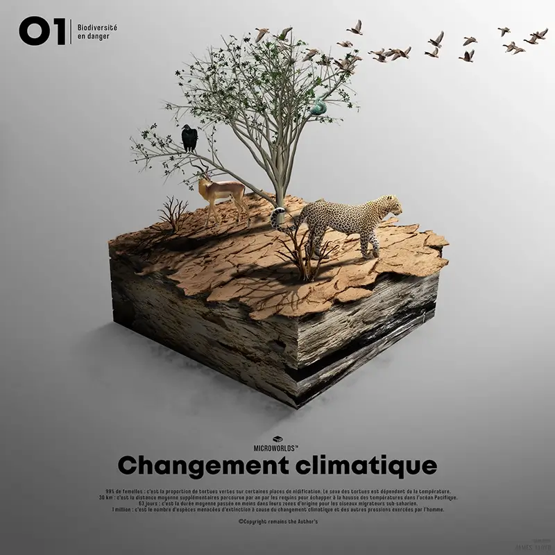Poster micro-world changement climatique