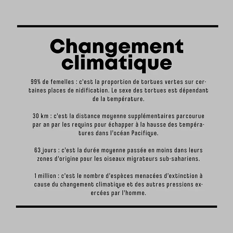 Texte Poster micro-world changement climatique