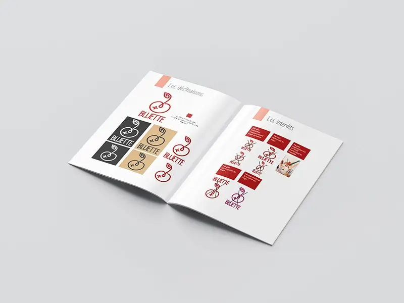 Charte graphique avec les déclinaisons et l'utilisation du logo Bluette