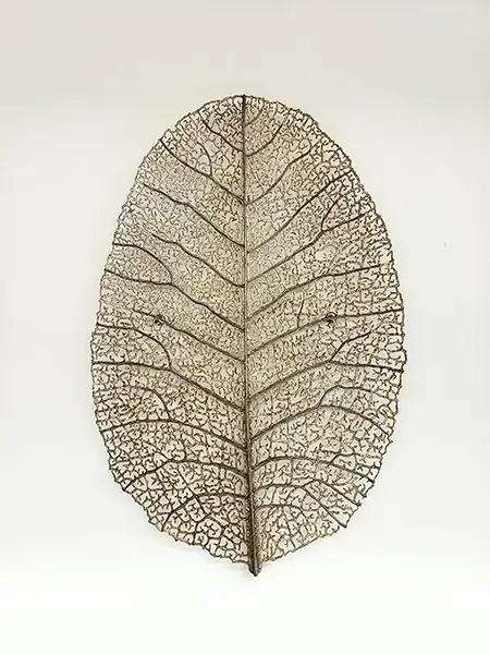 Feuille sèche